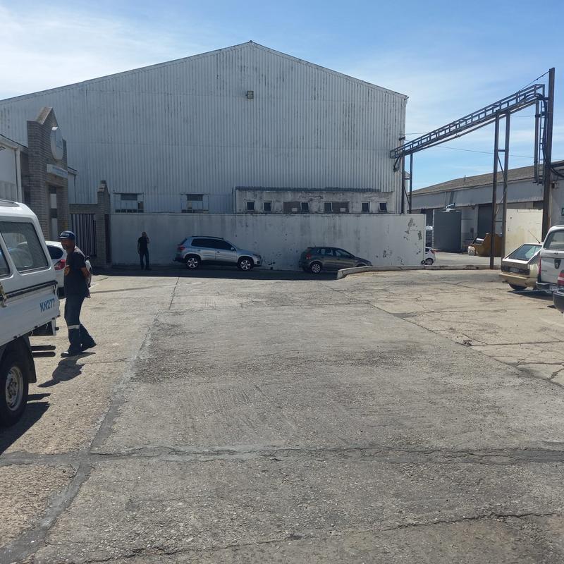 To Let commercial Property for Rent in Neave Industrial Eastern Cape